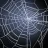 Spin Web