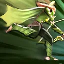 windrunner_windrun