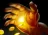 Hand Of Midas Custom