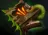item_necronomicon_3
