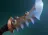 Serrated Shiv